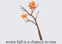 Every Fall Is A Chance To Rise