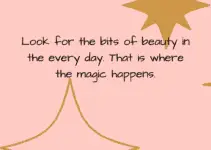 Look for the bits of beauty in the everyday. That is where the magic happens.