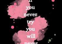 If you never try you will never know.
