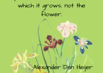 When a flower doesn’t bloom, you fix the environment in which it grows, not the flower. Alexander Den Heijer