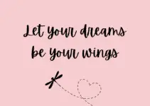 Let your dreams be your wings.