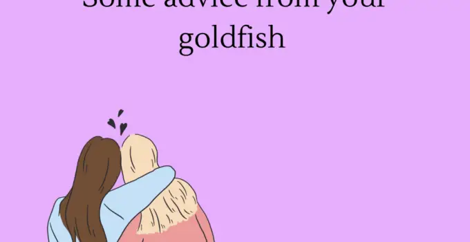 Some advice from your goldfish.