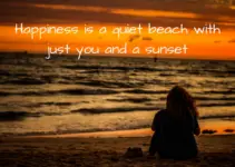 Happiness is a quiet beach with just you and a sunset.