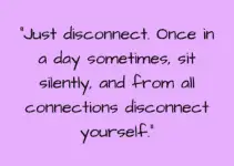 “Just disconnect. Once in a day sometimes, sit silently, and from all connections disconnect yourself.” Yoda