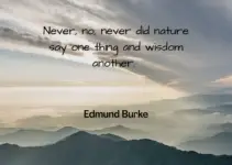 Never, no, never did nature say one thing and wisdom another. Edmund Burke