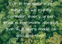 For in the nature of things, if we rightly consider, every green tree is far more glorious than if it were made of gold and silver. Martin Luther King Jr.