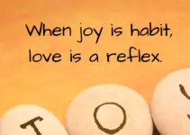 When joy is habit, love is a reflex. Bob Goff