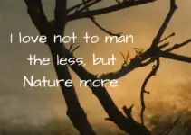 I love not to man the less, but Nature more. F. Scott Fitzergald