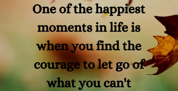 Let it go.  One of the happiest moments in life is when you find the courage to let go of what you can’t change.